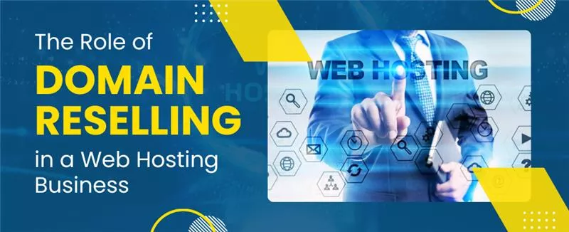 The Role of Domain Reselling in a Web Hosting Business